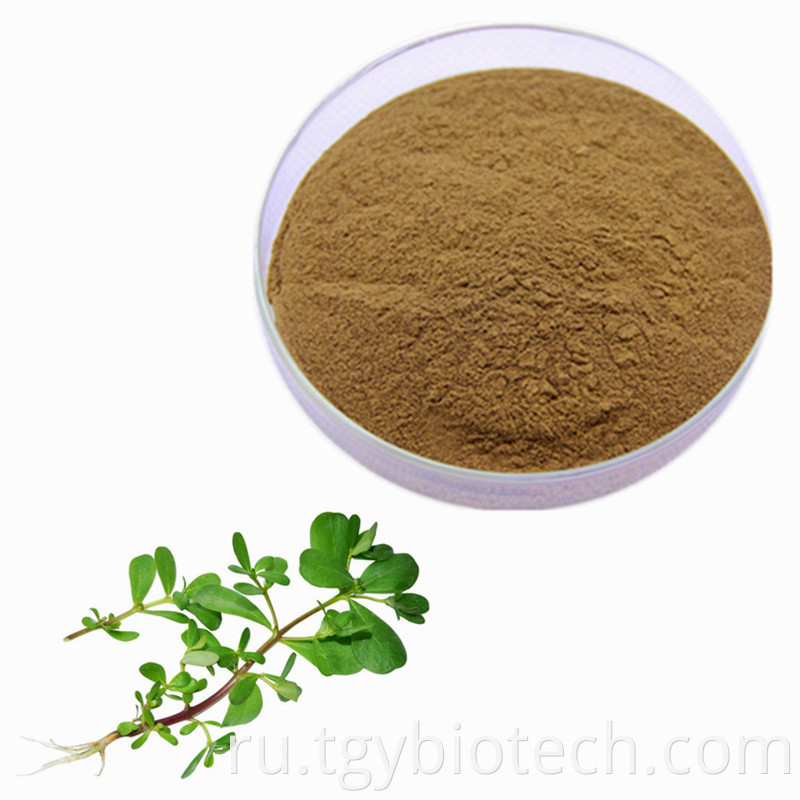 Portulaca Oleracea Extract